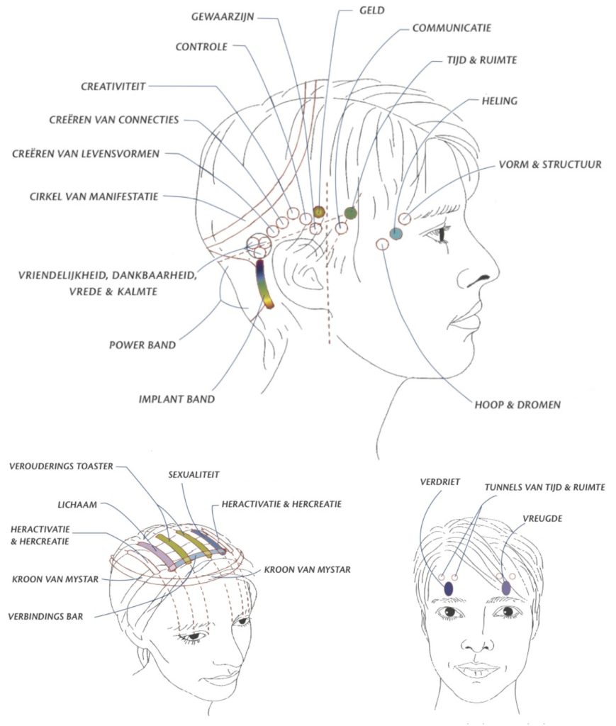 DUTCH-Access-Bars-Headchart-facebook-869x1024 (1)